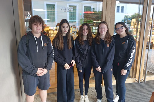 Students of the UNESCO Club visited the Goethe Institute