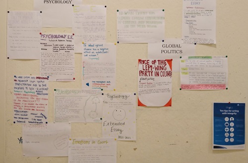 IB DP Year 2 presentation of Extended Essays
