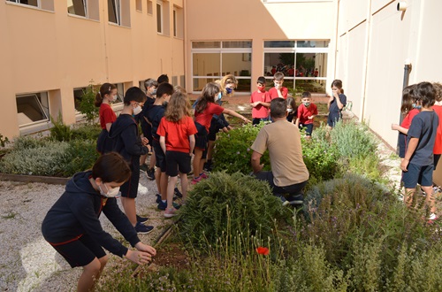 Εργαστήρια Περιβαλλοντικής Εκπαίδευσης στο Δημοτικό Κολλεγίου Ψυχικού