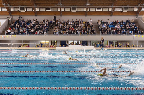 19th Elementary School Swimming Meets