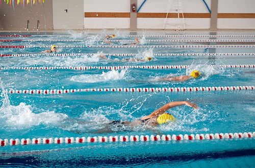 Interschool Swimming Meets of Elementary Schools