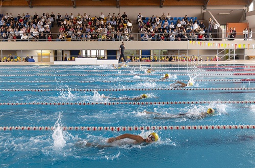 20th Elementary School Swimming Meets