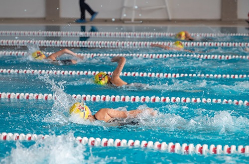 Elementary School Interschool Swimming Meets