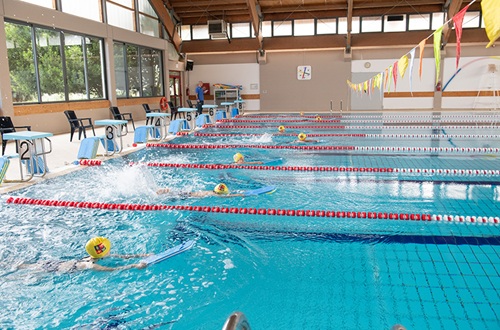 Swimming Skills Demonstrations for Elementary Schools