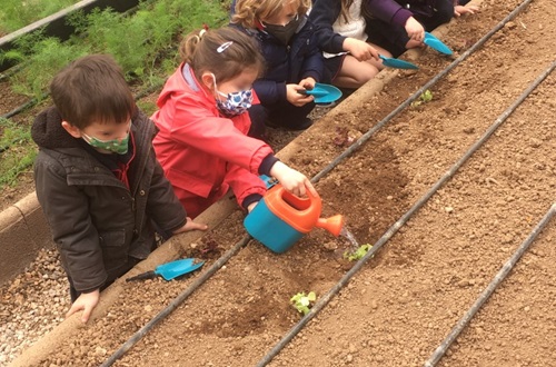 Pre-Kindergarten visits the Veggie Farm in Tatoi club