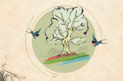 Athens College Elementary students win 1st and 3rd Prize in the 11th PanHellenic Literature Student Competition “Sofia Fildisi – The Tree of Wisdom”