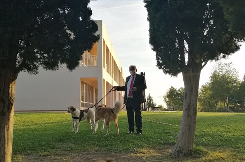 Psychico College Elementary School adopts a dog