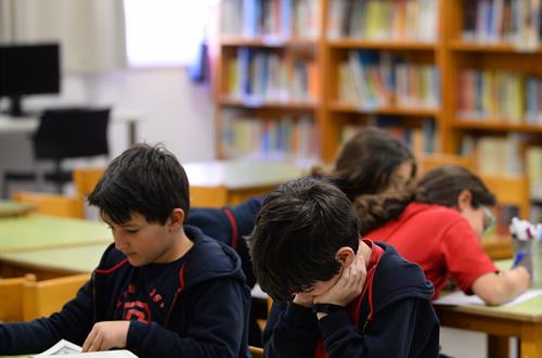 Learn more elementary