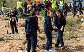 Δενδροφύτευση στον Υμηττό